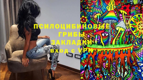 spice Абаза