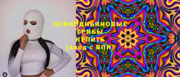 spice Абаза