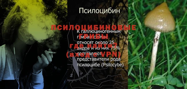 spice Абаза