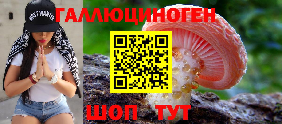 Галлюциногенные грибы мицелий  Псилоцибиновые грибы Cubensis  Вход с VPN  Шумерля 