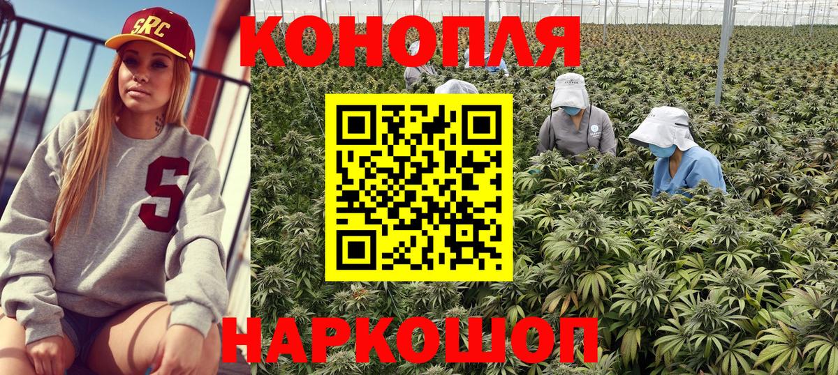 Бошки Шишки THC 21%  Вход с VPN  Бошки Шишки индика  Бошки Шишки сатива  Шумерля 
